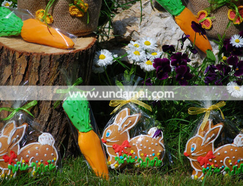 AJUTOOOOR!!! Iepurasii de Paste au invadat gradina Unda Mai!